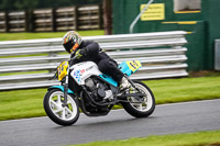 anglesey;brands-hatch;cadwell-park;croft;donington-park;enduro-digital-images;event-digital-images;eventdigitalimages;mallory;no-limits;oulton-park;peter-wileman-photography;racing-digital-images;silverstone;snetterton;trackday-digital-images;trackday-photos;vmcc-banbury-run;welsh-2-day-enduro